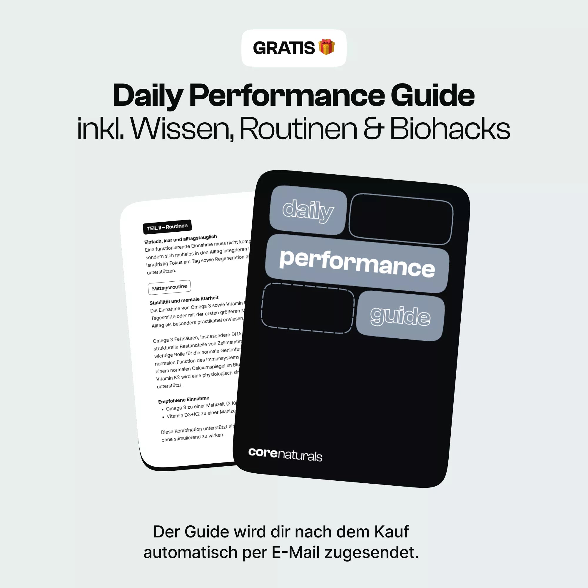 Daily Base Essentials³ – Starter Bundle